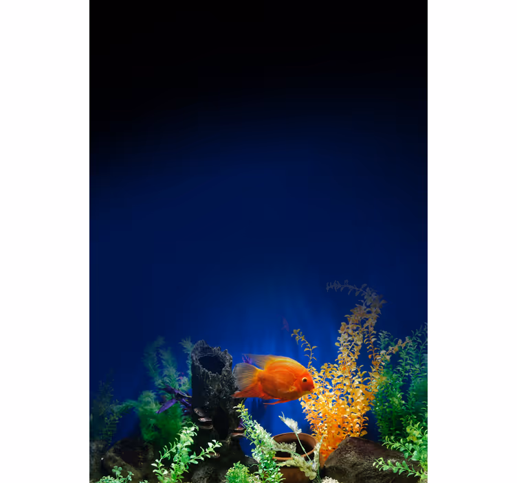 Akvarium liv rullegardin dyr - Tenstickers