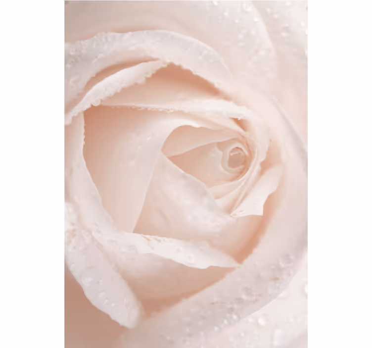 Delikat roseblad rullegardin blomster - Tenstickers