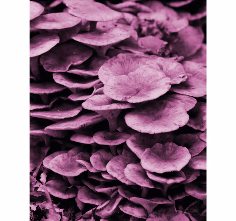Livlige blomsterlag rullegardin blomster - Tenstickers