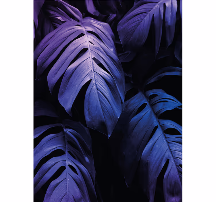 Monstera deliciosa løvverk rullegardin blomster - Tenstickers