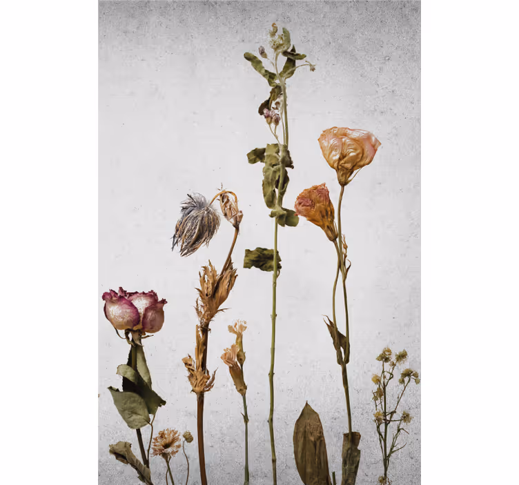 Tørre planter i skandinavisk stil rullegardin blomster - Tenstickers