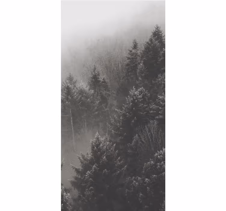 Skog med hvite furuer rullegardin originale - Tenstickers