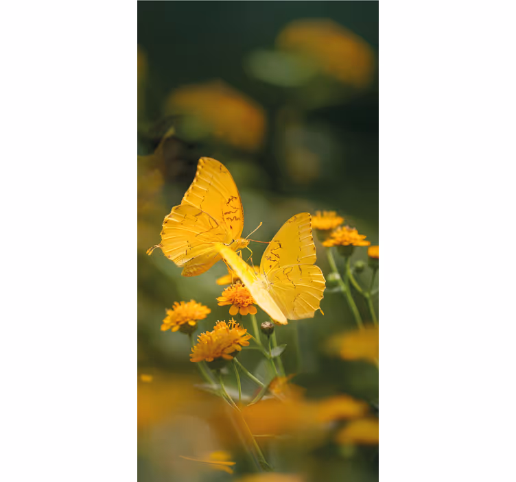 Realistiske gule vinger rullegardin sommerfugl - Tenstickers