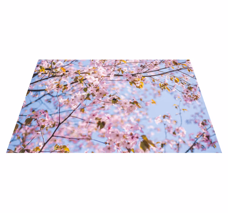 Spisebrikke tekstur blomstrende kirsebærblomst - Tenstickers