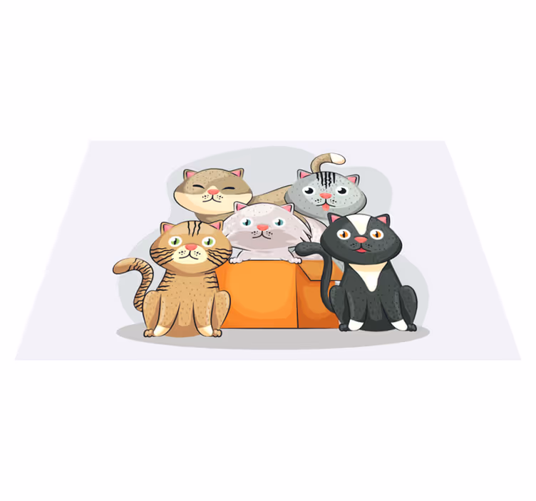 Katter i boks spisebrikke spedbarn - Tenstickers