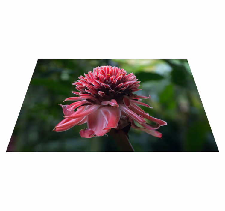 Tropisk blomsterdekorasjon spisebrikke original - Tenstickers