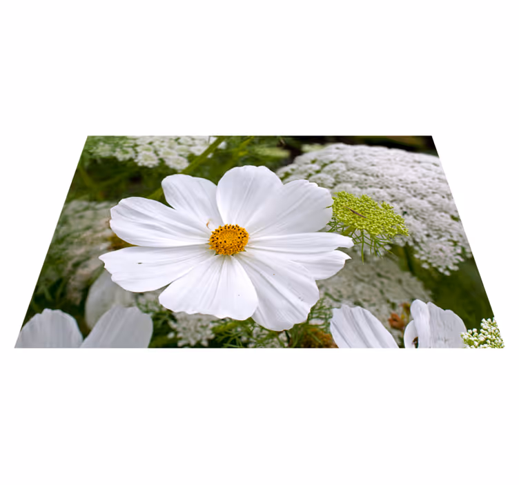 Spisebrikke original elegant hvit blomst - Tenstickers