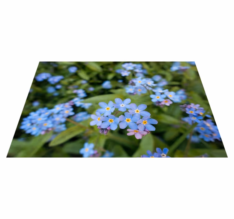 Søte små blå blomster spisebrikke moderne - Tenstickers