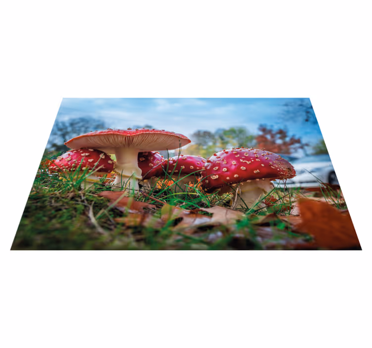 Spisebrikke moderne sopp kulinarisk scene - Tenstickers