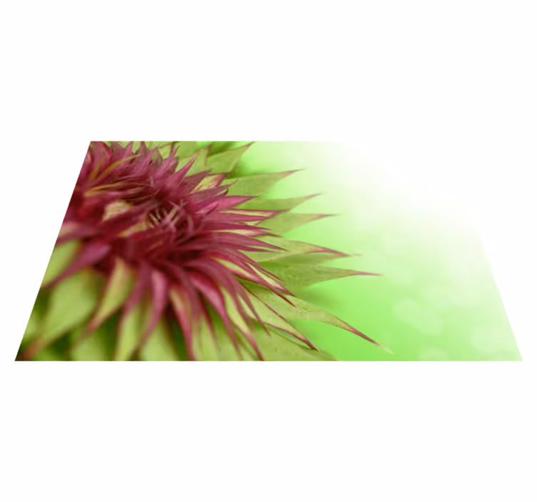 Tistel elegante spisebrikke - Tenstickers