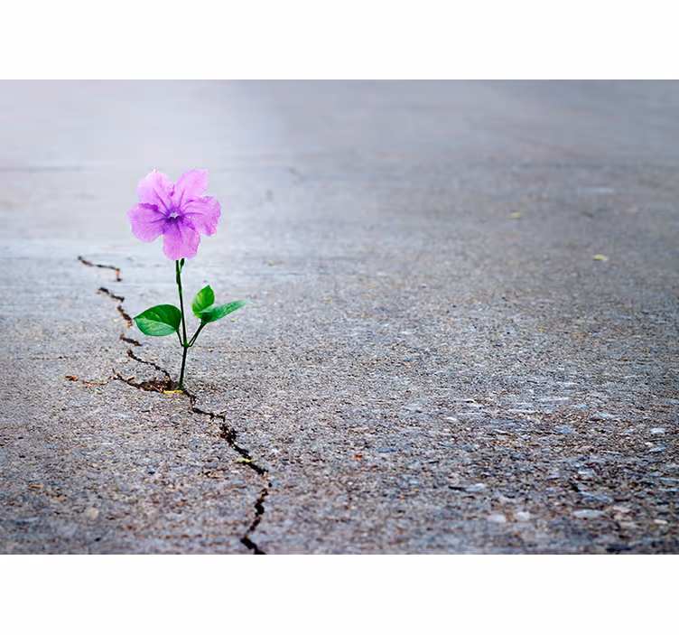 3d blomstermur bakgrunnsbilde - Tenstickers