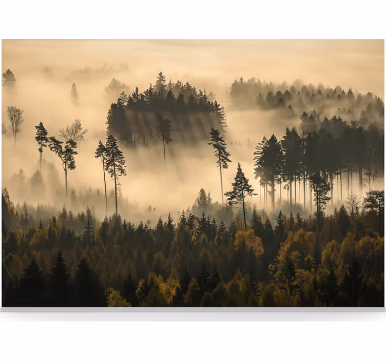 Fototapet skog eterisk morgenkåpe - Tenstickers