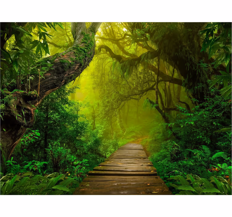 Fototapet skog mystisk skogsti - Tenstickers