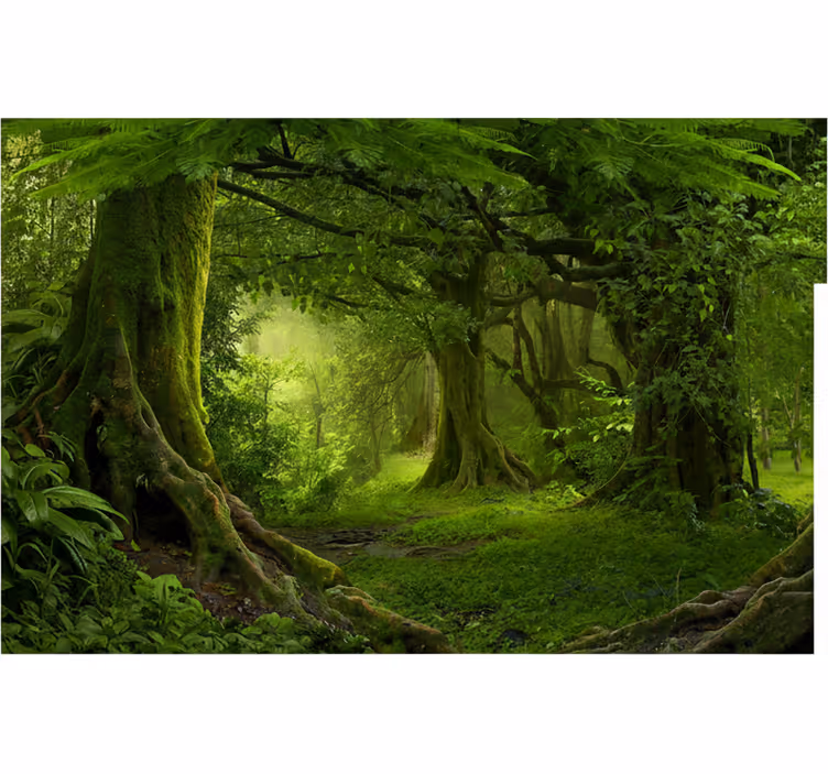 Fototapet skog frodig skogsdrøm - Tenstickers