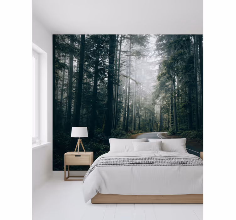 Fototapet skog tåkete furuvei - Tenstickers