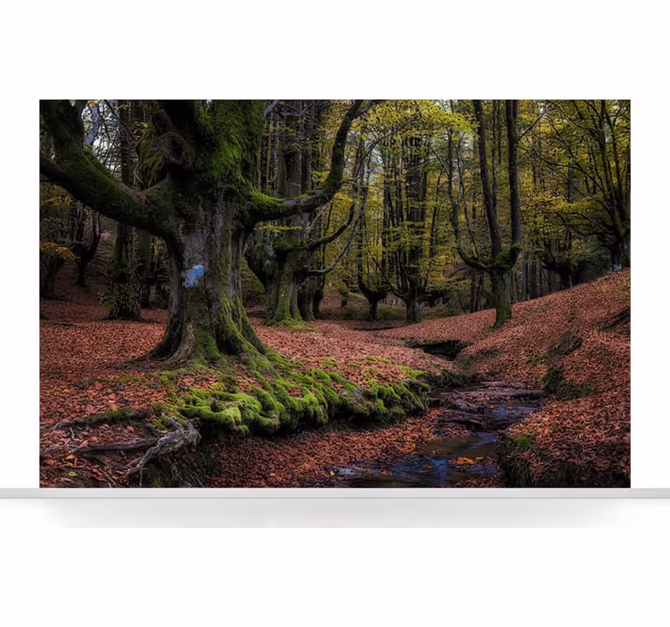 Fototapet skog fortryllet høstskog - Tenstickers