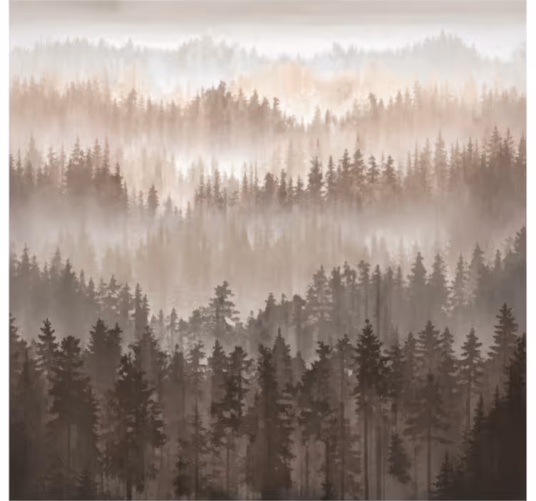 Fototapet landskap treverk i skoglag - Tenstickers