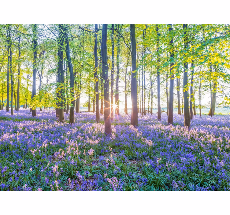Fototapet skog naturinspirert modernisme - Tenstickers