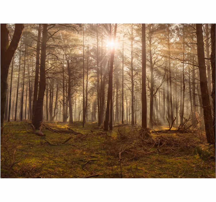 Fototapet skog gyldne dyrelivslounge - Tenstickers
