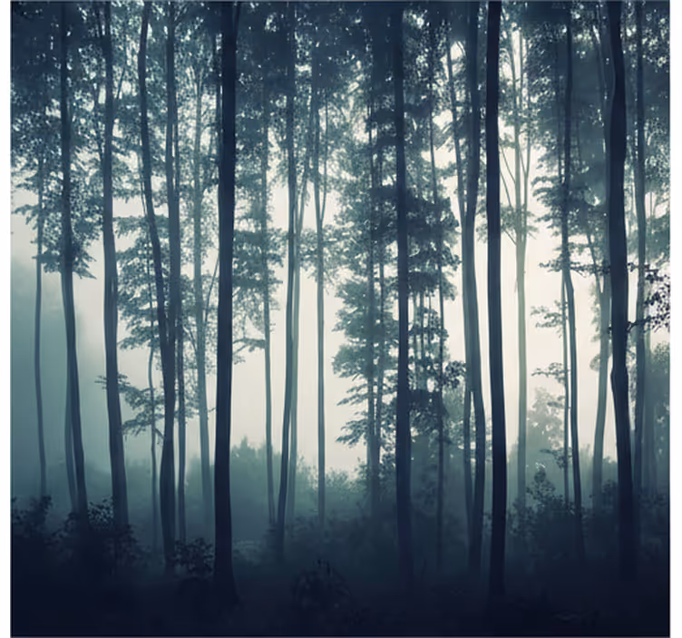 Fototapet skog malt skog zen - Tenstickers