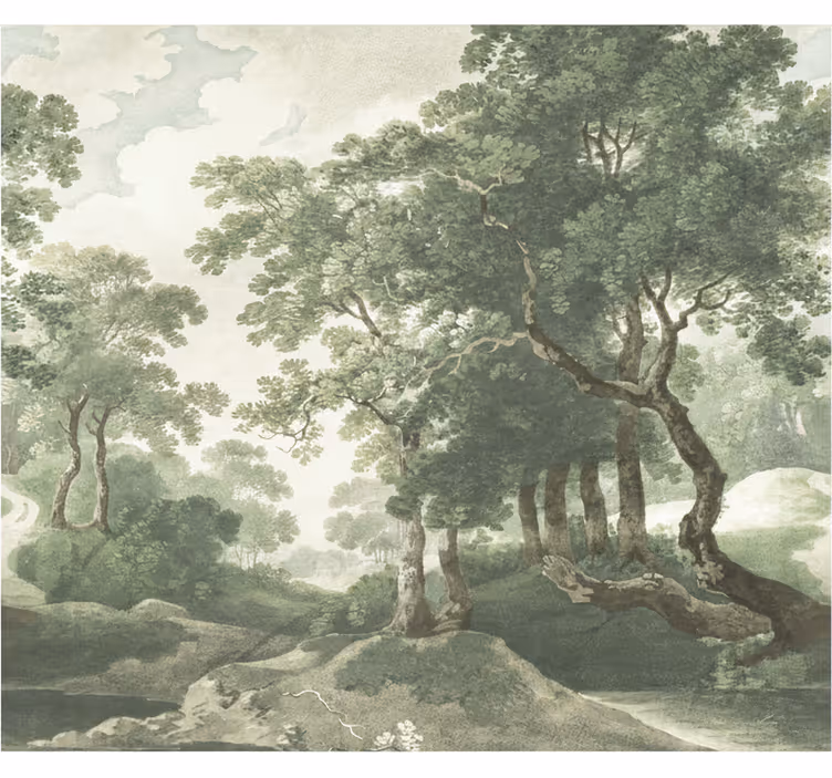 Fototapet skog klassisk tidløs natur - Tenstickers