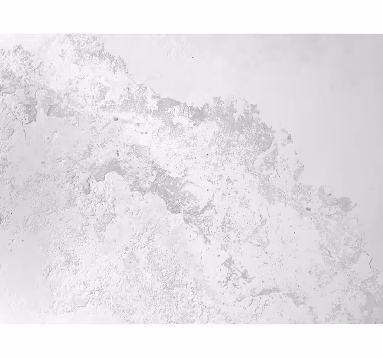 Fototapet hvit grå pantone tekstur - Tenstickers