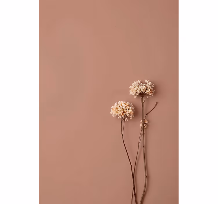 Fototapet inngang tørkede blomster - Tenstickers