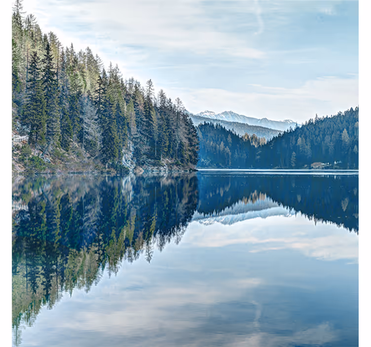 Fototapet inngang natur skog elv - Tenstickers