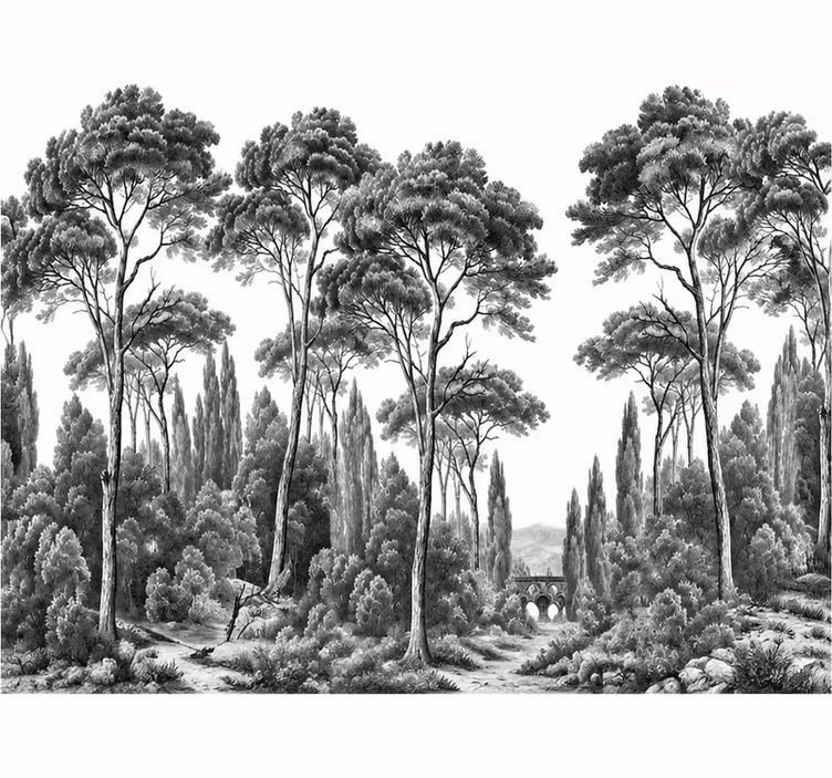 Fototapet natur svart og hvitt - Tenstickers