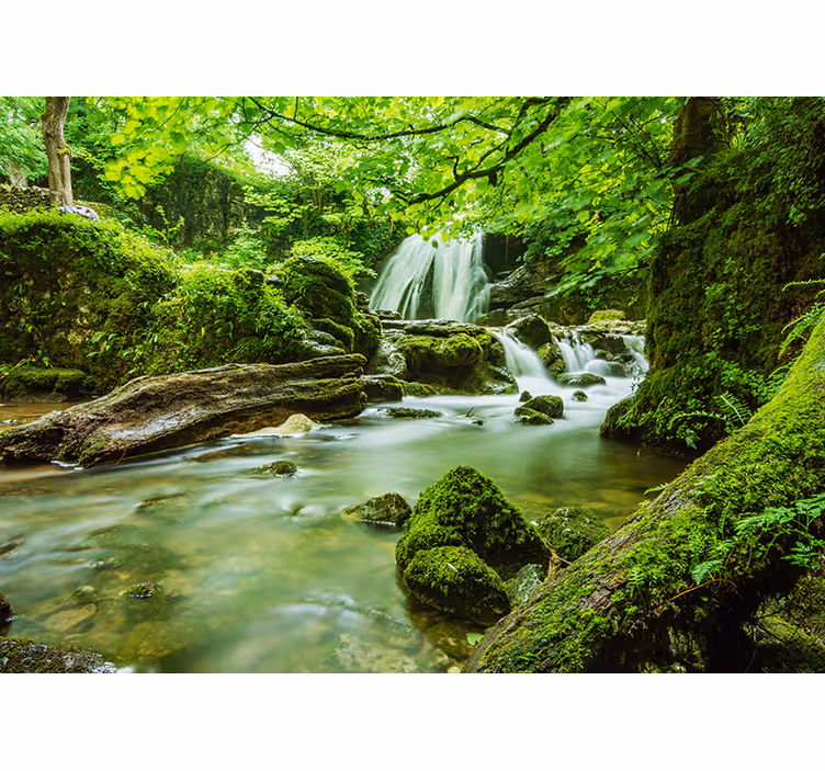 Foss i jungelen landskap fototapet - Tenstickers