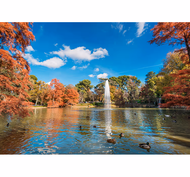Retiro park i høstens fototapet - Tenstickers