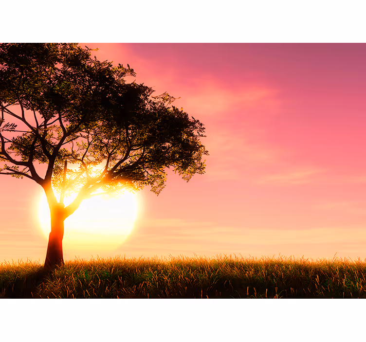 Solnedgang over et felt tre fototapet - Tenstickers