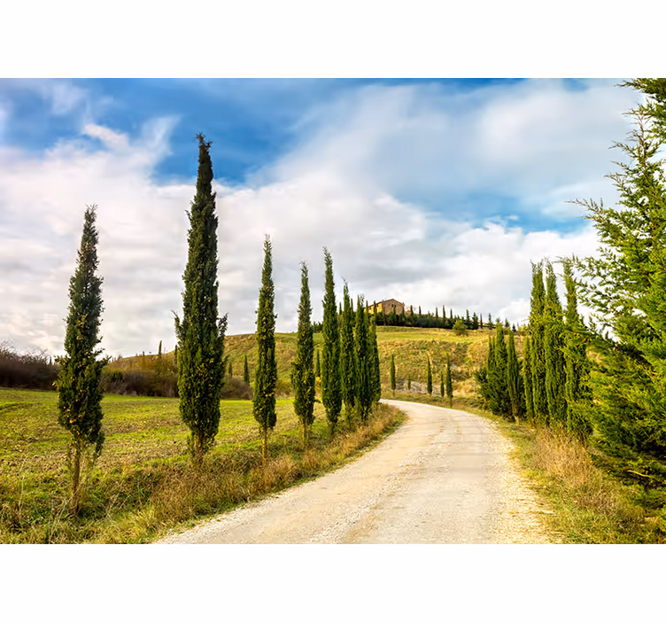 Tuscany landskap fototapet - Tenstickers