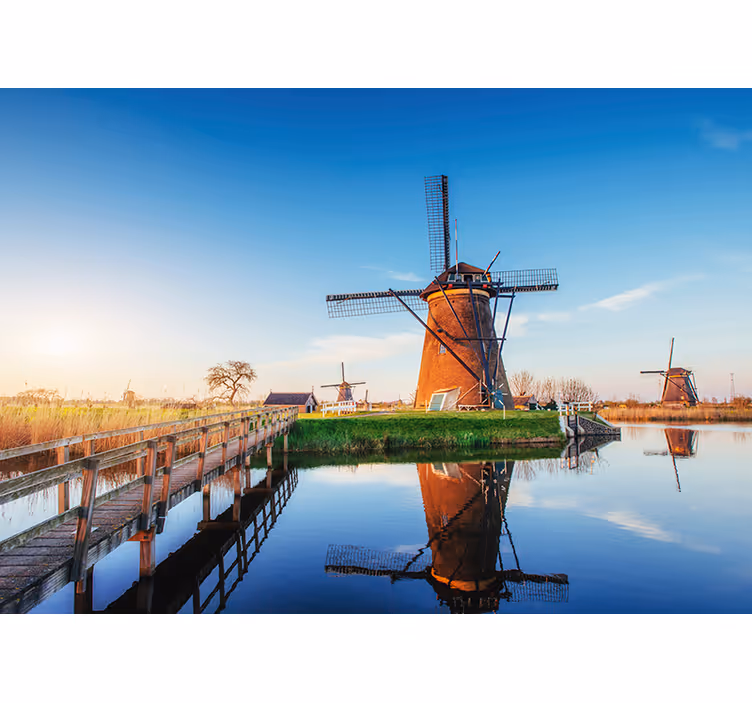 Typisk nederlandsk landskap fototapet - Tenstickers
