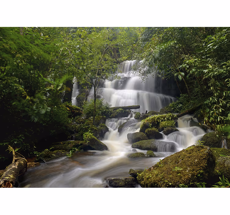 Skog og fosser fototapet - Tenstickers