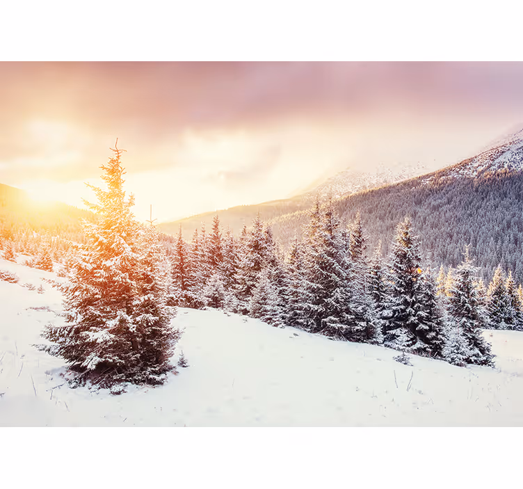 Snøhvit fototapet - Tenstickers