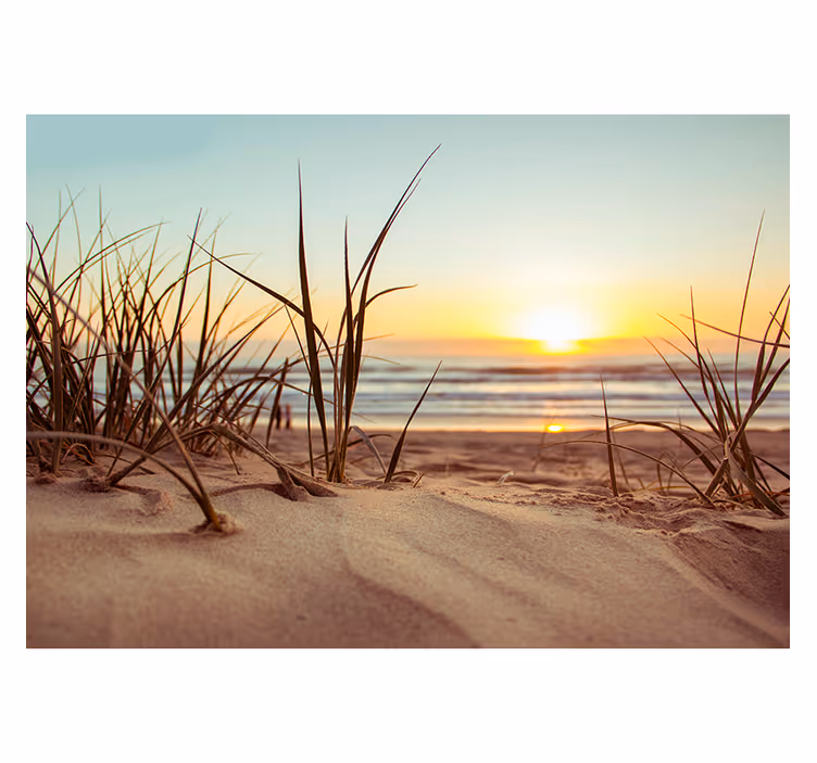 Solnedgang og strand fototapet - Tenstickers