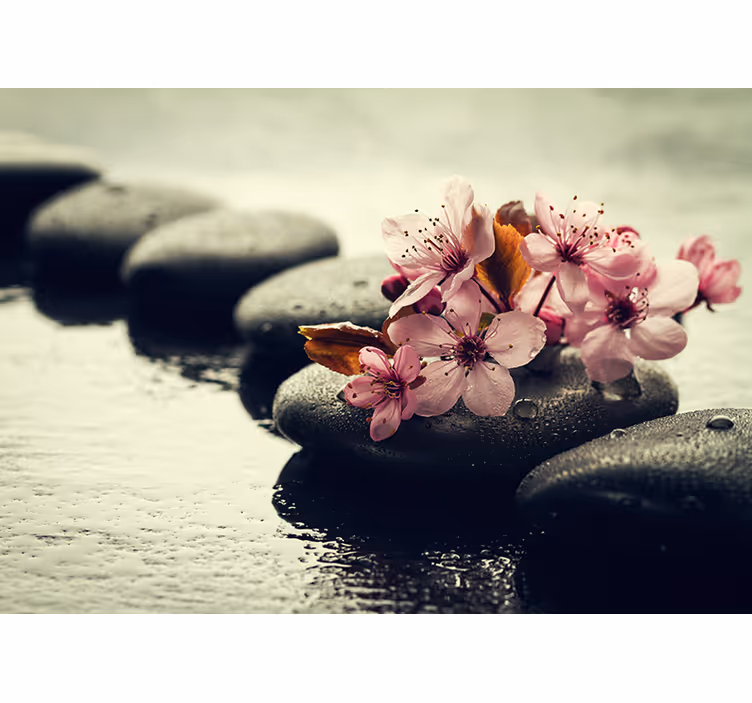 Ro i naturen zen fototapet - Tenstickers