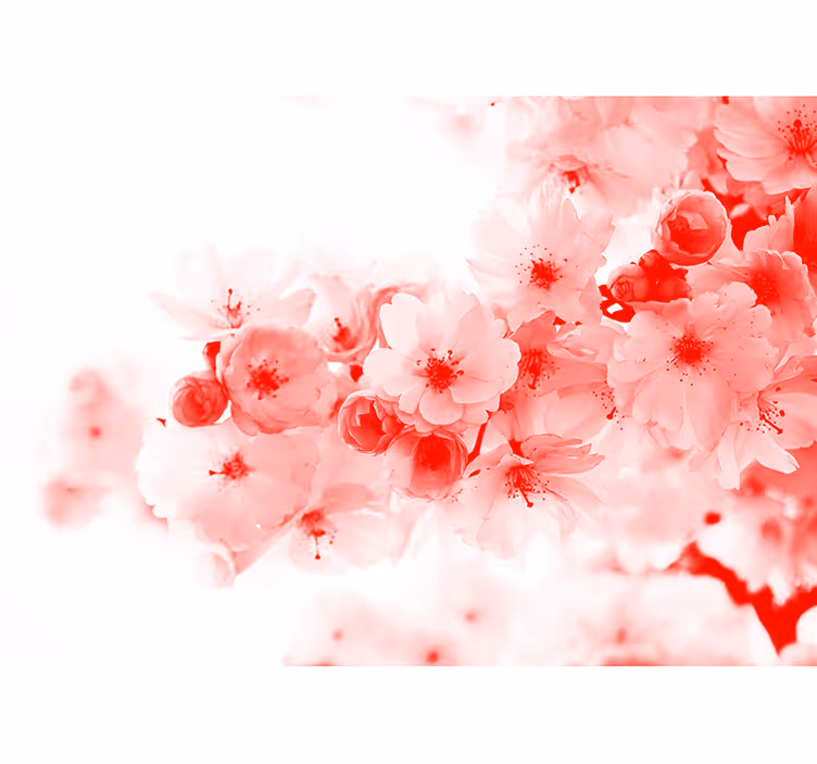Abstrakt blomster tre zen fototapet - Tenstickers