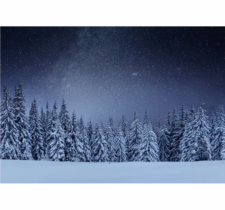 Hvite trær blå himmel veggmaleri - Tenstickers