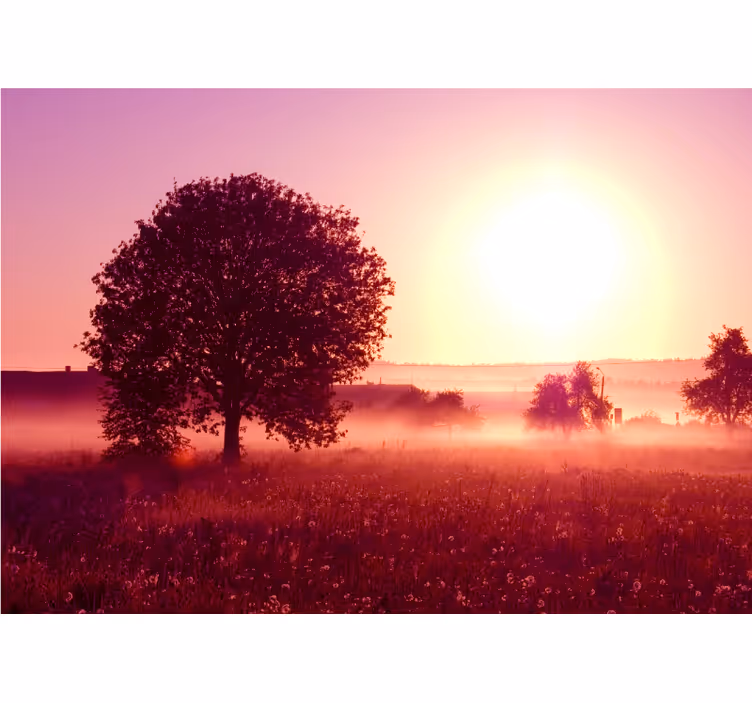 Fototapet natur silhuett av tre ved solnedgang - Tenstickers