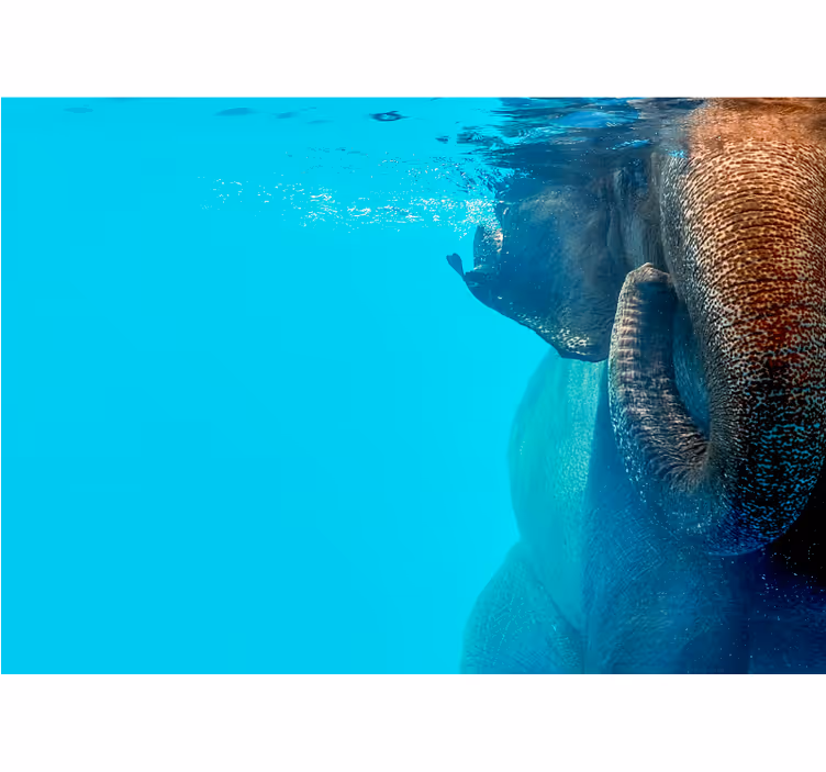 Majestetisk undervanns elefant fototapet dyr - Tenstickers