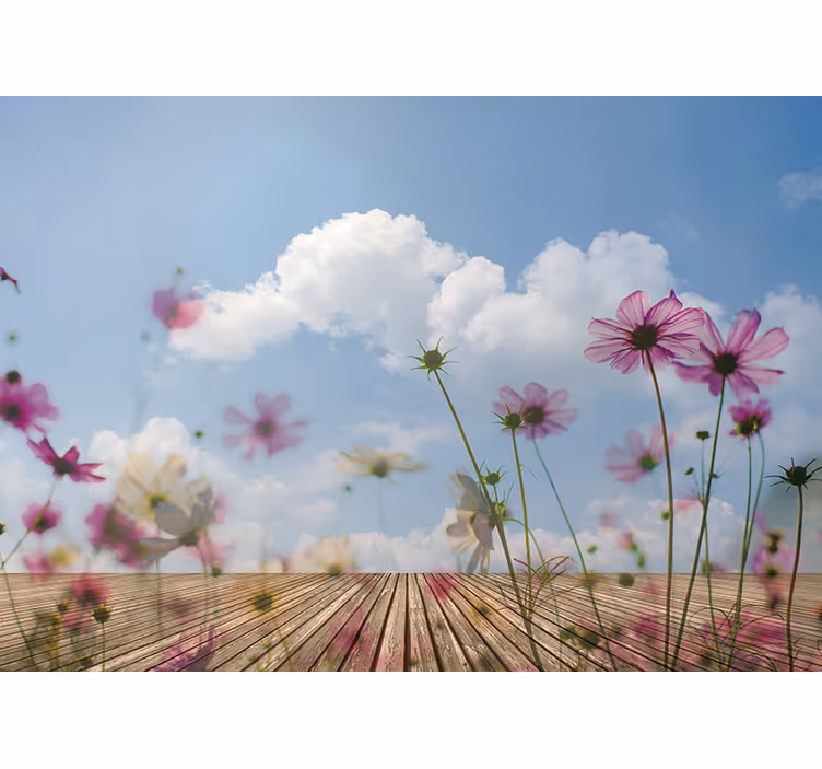 Delikate blomsteroppblomstringer fototapet blomster - Tenstickers