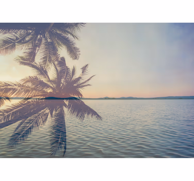 Fototapet natur roende palm silhuett - Tenstickers