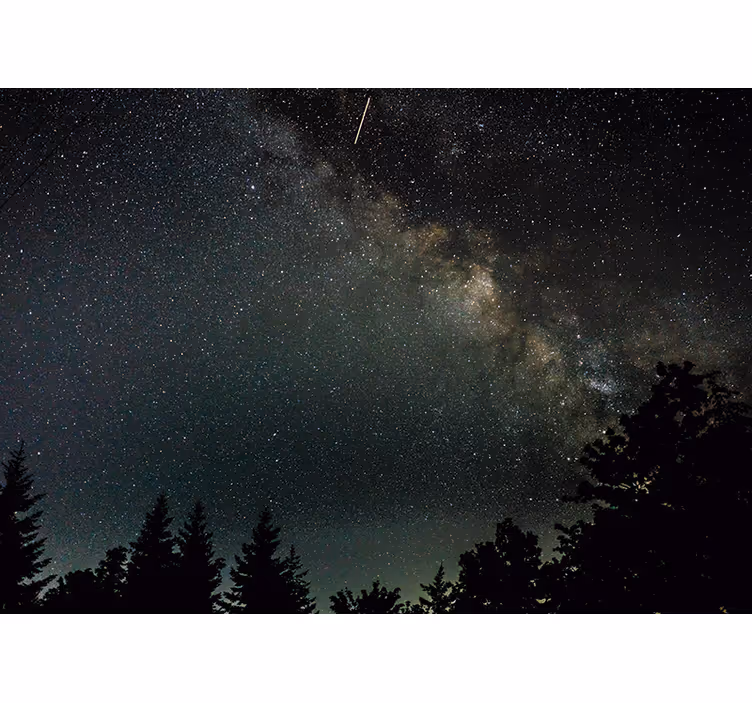 Landskap full av stjerner himmel fototapet - Tenstickers