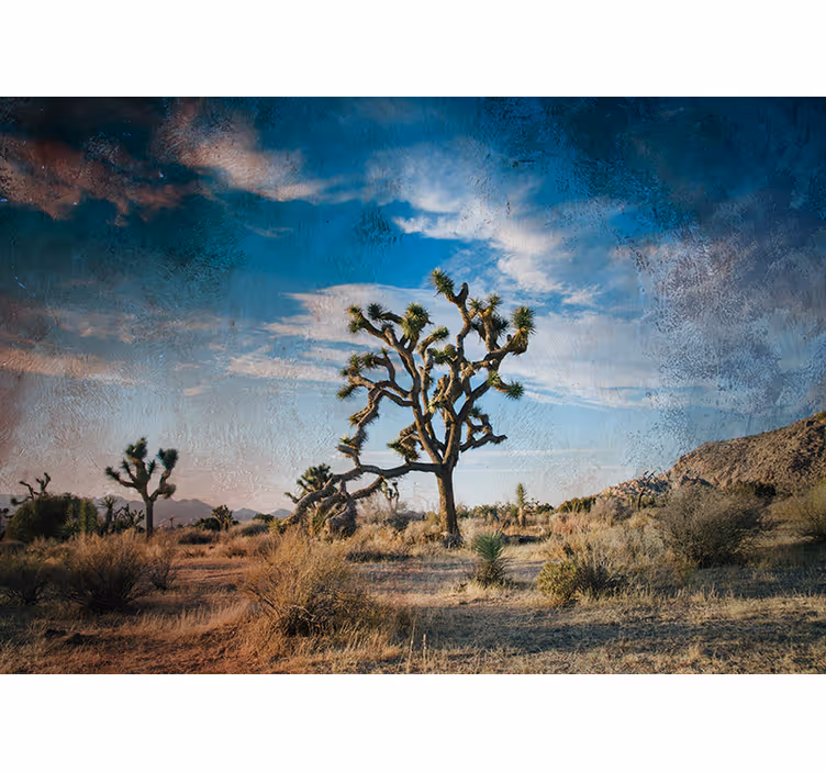 Joshua tree-landskapet fototapet natur - Tenstickers