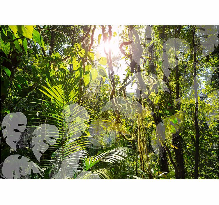 Grønn amazone skog fototapet - Tenstickers