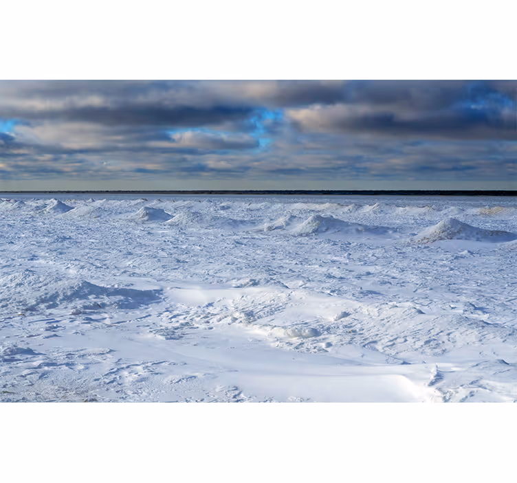 Frossen horisont fototapet natur - Tenstickers