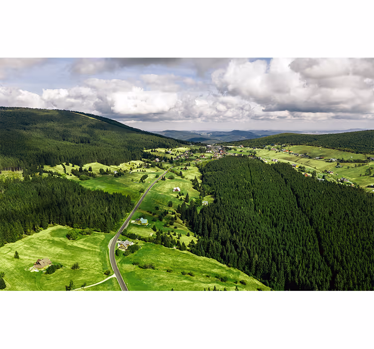 Frodige, grønne åser fototapet landskap - Tenstickers
