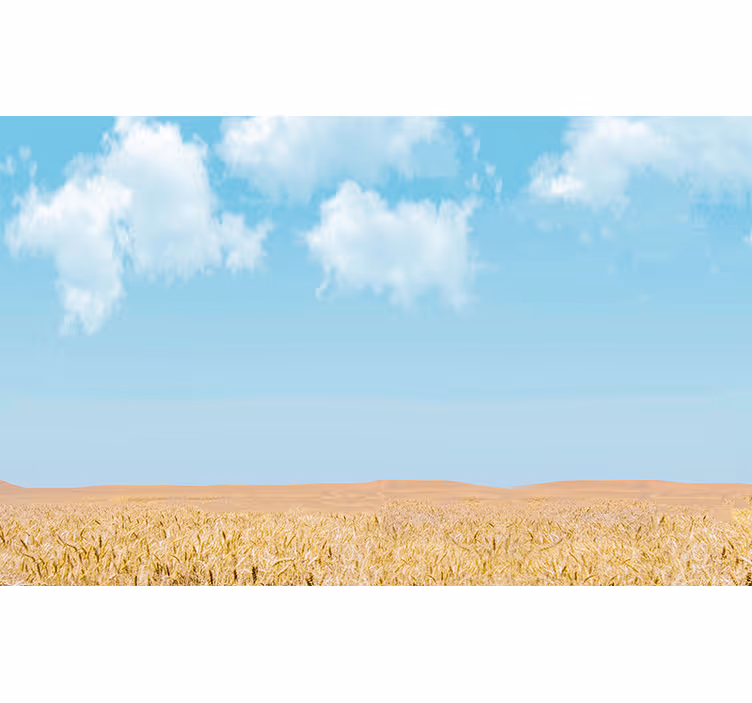 Himmel og hvete fototapet landskap - Tenstickers